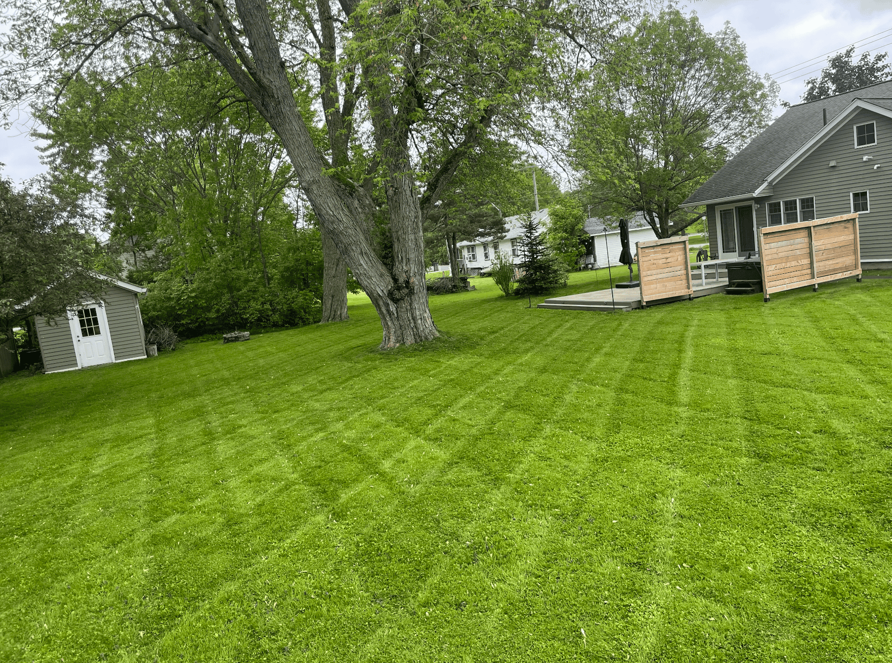 Screenshot 2025-06-14 at 10.29.41 PM